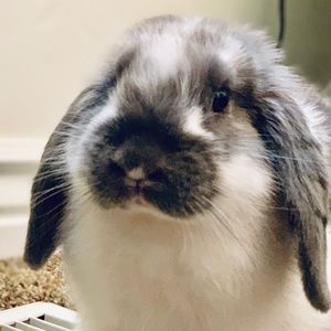 Meet your Posher, Kayleigh